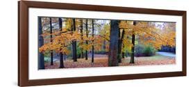 Fall foliage in Eagle Creek Park, Indianapolis, Indiana, USA-Anna Miller-Framed Photographic Print