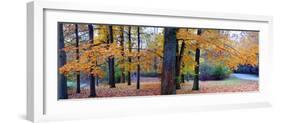 Fall foliage in Eagle Creek Park, Indianapolis, Indiana, USA-Anna Miller-Framed Photographic Print