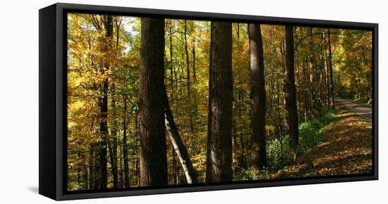 Fall foliage in Smoky Mountains National Park, Tennessee, USA-Anna Miller-Framed Stretched Canvas