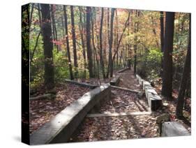 Fall Foliage near Fall Creek Falls State Park, Tennessee, USA-Diane Johnson-Stretched Canvas