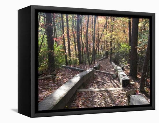 Fall Foliage near Fall Creek Falls State Park, Tennessee, USA-Diane Johnson-Framed Stretched Canvas