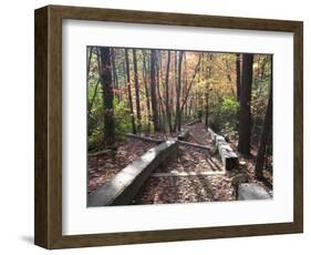 Fall Foliage near Fall Creek Falls State Park, Tennessee, USA-Diane Johnson-Framed Photographic Print