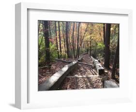 Fall Foliage near Fall Creek Falls State Park, Tennessee, USA-Diane Johnson-Framed Photographic Print