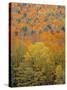 Fall Foliage, New England, USA-Walter Bibikow-Stretched Canvas