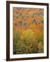 Fall Foliage, New England, USA-Walter Bibikow-Framed Premium Photographic Print