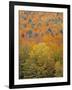 Fall Foliage, New England, USA-Walter Bibikow-Framed Premium Photographic Print