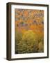 Fall Foliage, New England, USA-Walter Bibikow-Framed Photographic Print