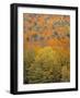 Fall Foliage, New England, USA-Walter Bibikow-Framed Photographic Print