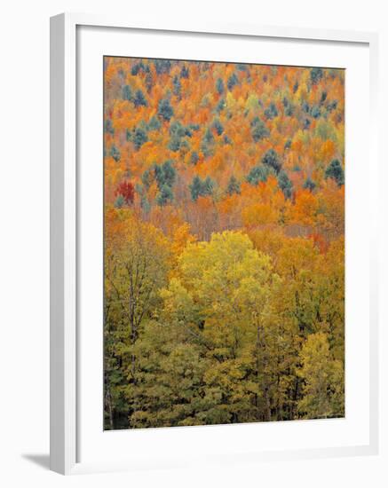 Fall Foliage, New England, USA-Walter Bibikow-Framed Photographic Print