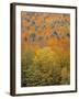 Fall Foliage, New England, USA-Walter Bibikow-Framed Photographic Print