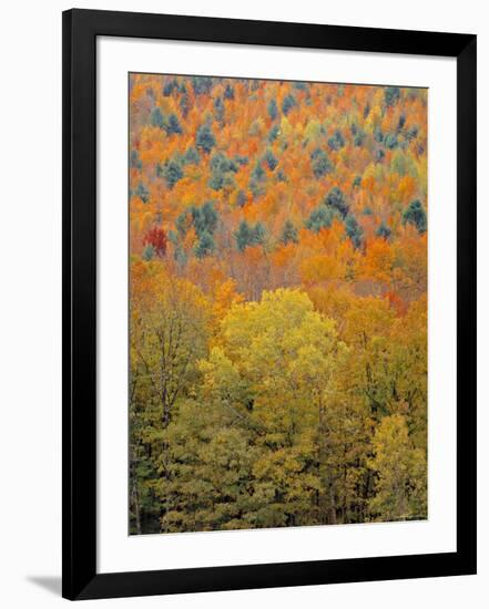 Fall Foliage, New England, USA-Walter Bibikow-Framed Photographic Print