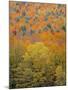 Fall Foliage, New England, USA-Walter Bibikow-Mounted Photographic Print