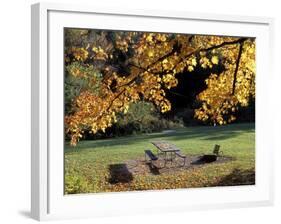 Fall Foliage on Cohos Trail, Zealand Campground, Twin Mountain, New Hampshire, USA-Jerry & Marcy Monkman-Framed Photographic Print