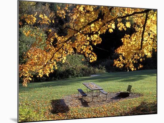 Fall Foliage on Cohos Trail, Zealand Campground, Twin Mountain, New Hampshire, USA-Jerry & Marcy Monkman-Mounted Photographic Print