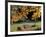 Fall Foliage on Cohos Trail, Zealand Campground, Twin Mountain, New Hampshire, USA-Jerry & Marcy Monkman-Framed Photographic Print