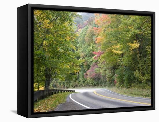 Fall Foliage on Newfound Gap Road, Great Smoky Mountains, Tennessee, USA-Diane Johnson-Framed Stretched Canvas