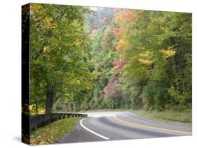 Fall Foliage on Newfound Gap Road, Great Smoky Mountains, Tennessee, USA-Diane Johnson-Stretched Canvas