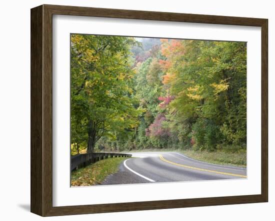 Fall Foliage on Newfound Gap Road, Great Smoky Mountains, Tennessee, USA-Diane Johnson-Framed Photographic Print