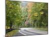 Fall Foliage on Newfound Gap Road, Great Smoky Mountains, Tennessee, USA-Diane Johnson-Mounted Photographic Print