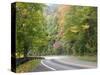 Fall Foliage on Newfound Gap Road, Great Smoky Mountains, Tennessee, USA-Diane Johnson-Stretched Canvas