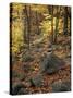 Fall Foliage on the Tarn Trail of Dorr Mountain, Maine, USA-Jerry & Marcy Monkman-Stretched Canvas