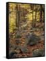 Fall Foliage on the Tarn Trail of Dorr Mountain, Maine, USA-Jerry & Marcy Monkman-Framed Stretched Canvas