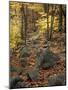 Fall Foliage on the Tarn Trail of Dorr Mountain, Maine, USA-Jerry & Marcy Monkman-Mounted Photographic Print