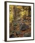 Fall Foliage on the Tarn Trail of Dorr Mountain, Maine, USA-Jerry & Marcy Monkman-Framed Photographic Print