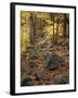 Fall Foliage on the Tarn Trail of Dorr Mountain, Maine, USA-Jerry & Marcy Monkman-Framed Photographic Print