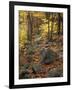 Fall Foliage on the Tarn Trail of Dorr Mountain, Maine, USA-Jerry & Marcy Monkman-Framed Photographic Print