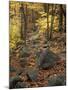 Fall Foliage on the Tarn Trail of Dorr Mountain, Maine, USA-Jerry & Marcy Monkman-Mounted Photographic Print