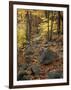 Fall Foliage on the Tarn Trail of Dorr Mountain, Maine, USA-Jerry & Marcy Monkman-Framed Photographic Print