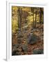 Fall Foliage on the Tarn Trail of Dorr Mountain, Maine, USA-Jerry & Marcy Monkman-Framed Photographic Print