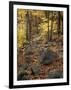 Fall Foliage on the Tarn Trail of Dorr Mountain, Maine, USA-Jerry & Marcy Monkman-Framed Photographic Print