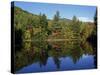 Fall Foliage Reflected in a Lake, Near Jackson, New Hampshire, New England, USA-Fraser Hall-Stretched Canvas