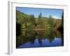 Fall Foliage Reflected in a Lake, Near Jackson, New Hampshire, New England, USA-Fraser Hall-Framed Photographic Print