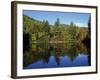 Fall Foliage Reflected in a Lake, Near Jackson, New Hampshire, New England, USA-Fraser Hall-Framed Photographic Print