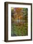 Fall foliage reflection in lake water-Anna Miller-Framed Photographic Print