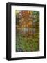 Fall foliage reflection in lake water-Anna Miller-Framed Photographic Print