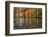 Fall foliage reflection in lake water-Anna Miller-Framed Photographic Print