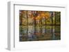 Fall foliage reflection in lake water-Anna Miller-Framed Photographic Print