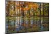 Fall foliage reflection in lake water-Anna Miller-Mounted Photographic Print