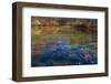 Fall foliage reflection in lake water-Anna Miller-Framed Photographic Print