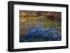 Fall foliage reflection in lake water-Anna Miller-Framed Photographic Print