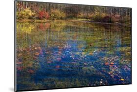 Fall foliage reflection in lake water-Anna Miller-Mounted Photographic Print