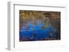 Fall foliage reflection in lake water-Anna Miller-Framed Photographic Print