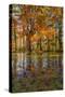 Fall foliage reflection in lake water-Anna Miller-Stretched Canvas