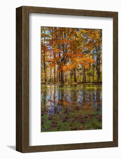 Fall foliage reflection in lake water-Anna Miller-Framed Photographic Print