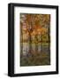Fall foliage reflection in lake water-Anna Miller-Framed Photographic Print
