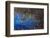 Fall foliage reflection in lake water-Anna Miller-Framed Photographic Print